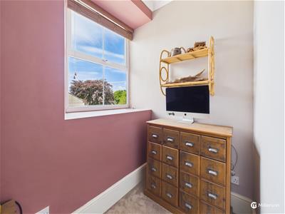 Picture 20